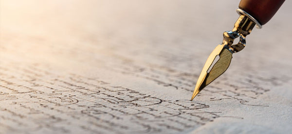 Website Design & Editorial Service